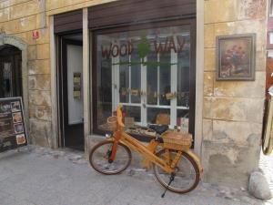 066 kolesarski izlet (17)